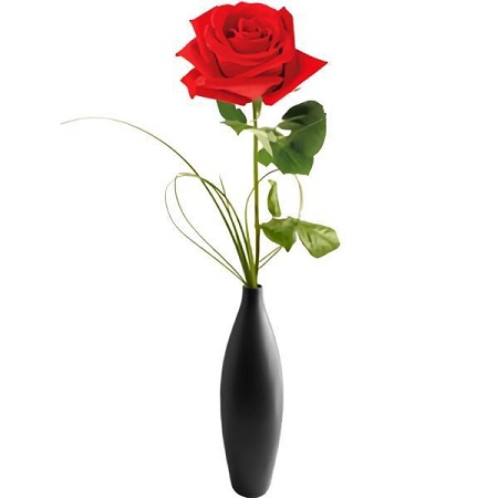 Single Red Rose in Glass Vase for delivery in Adelaide