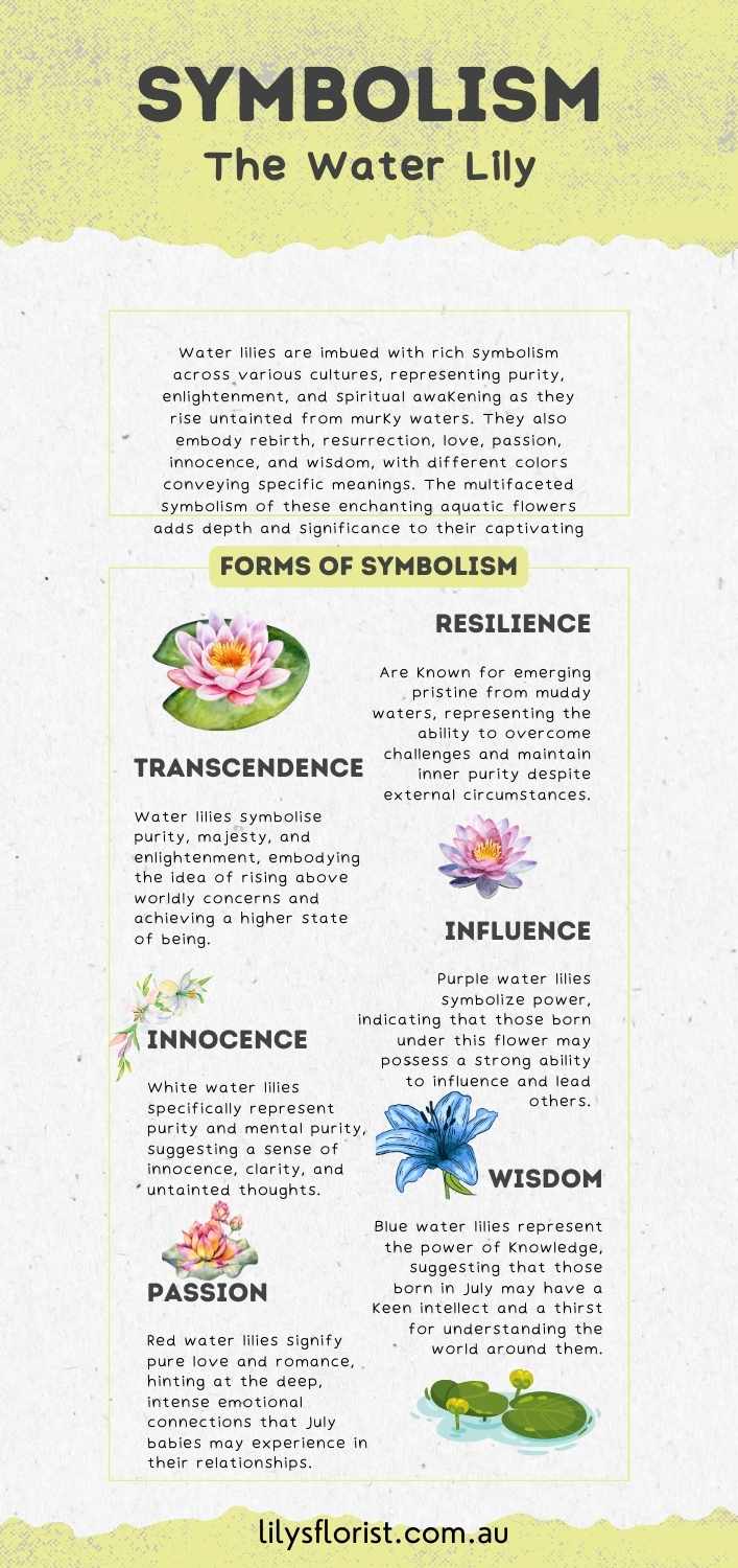 Symbolism and Meanings of Water Lily