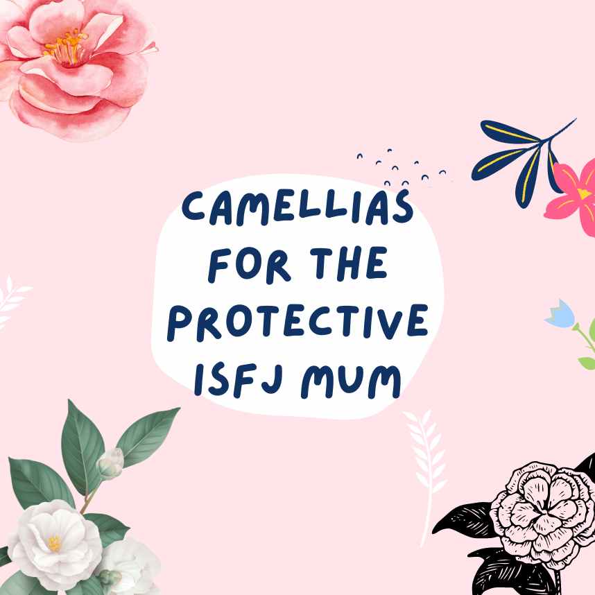 Camellias for The Protective ISFJ Mum