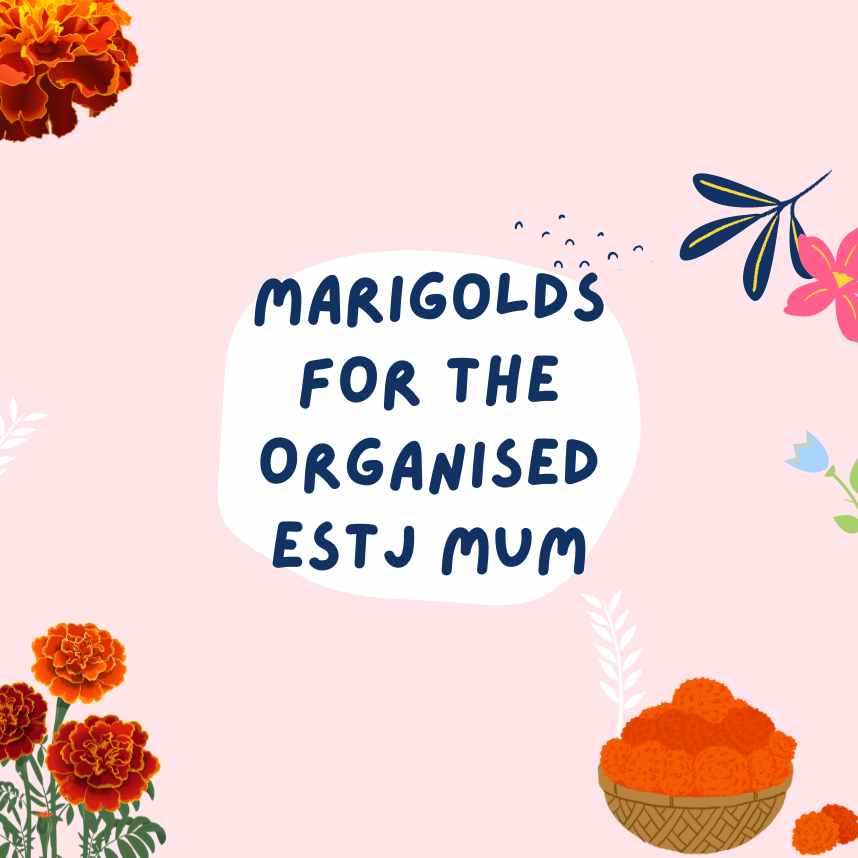 Marigolds for The Organised ESTJ Mum