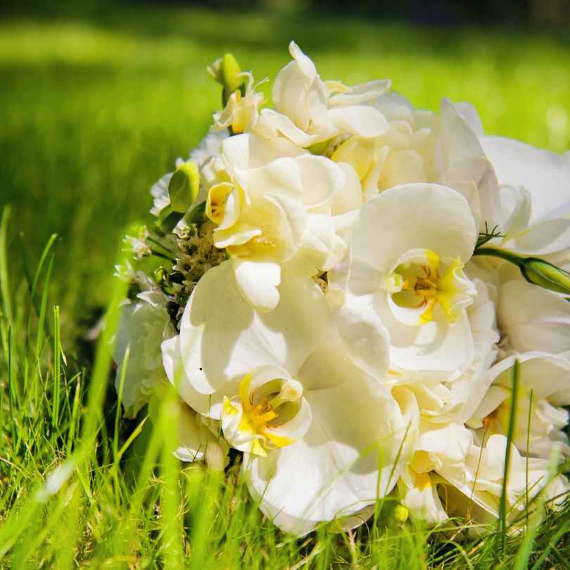 Top 10 Most Popular Wedding Bouquets in 2024 - orchids
