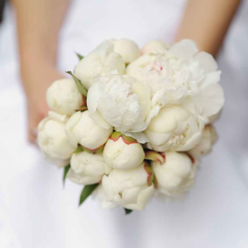 Top 10 Most Popular Wedding Bouquets in 2024 - peonies