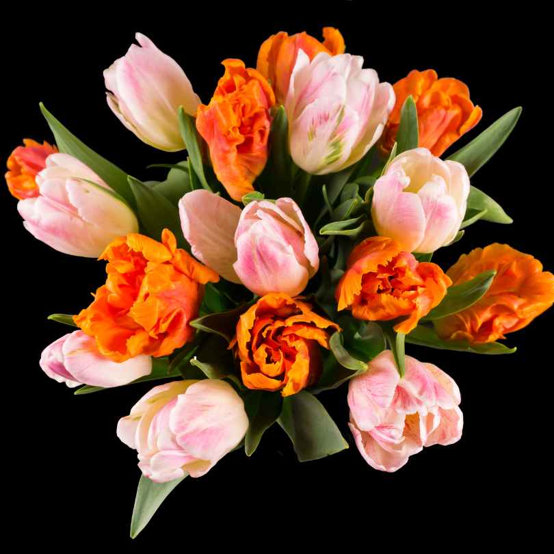 Top 10 Most Popular Wedding Bouquets in 2024 - tulips