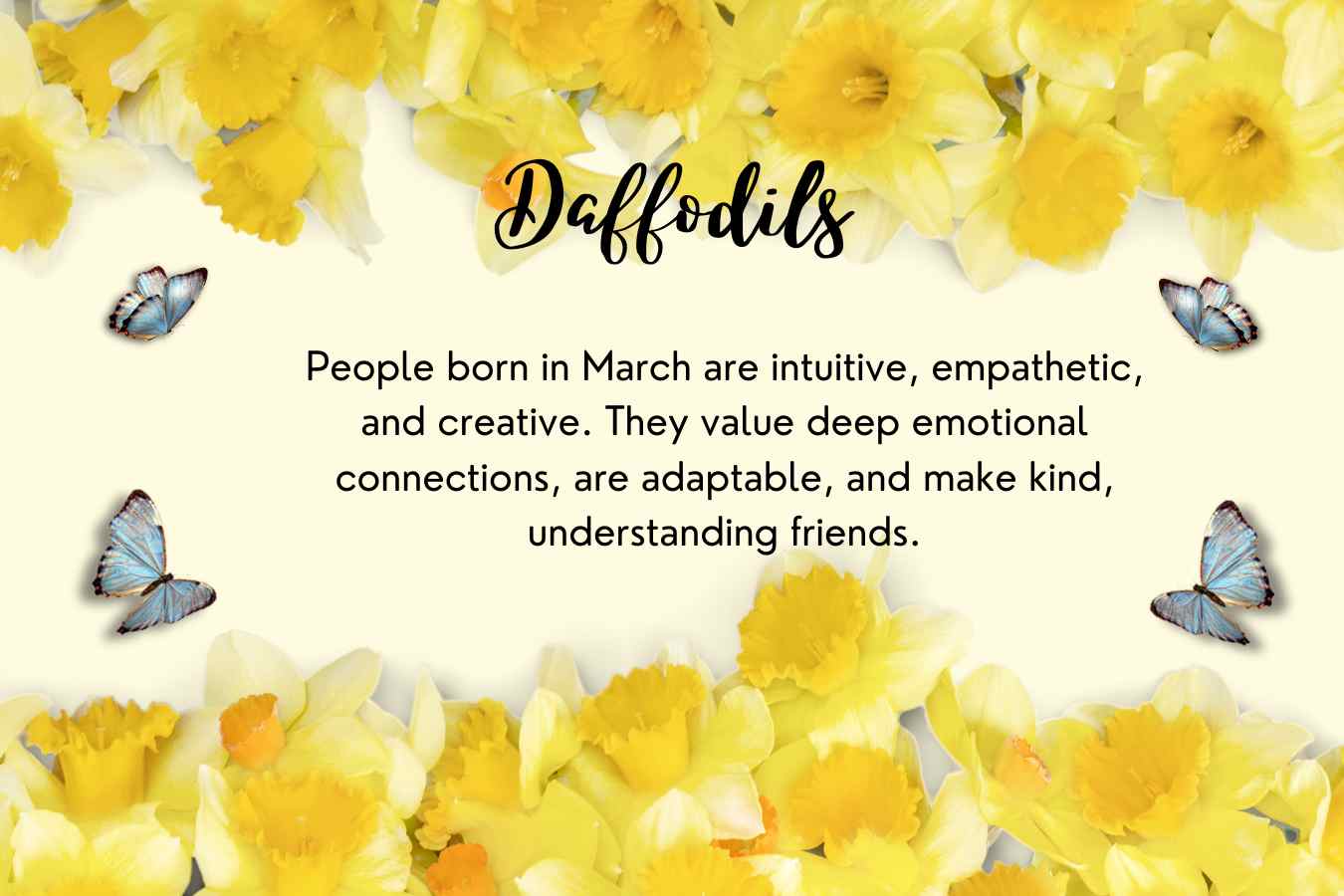 March Birth Flower: Daffodil