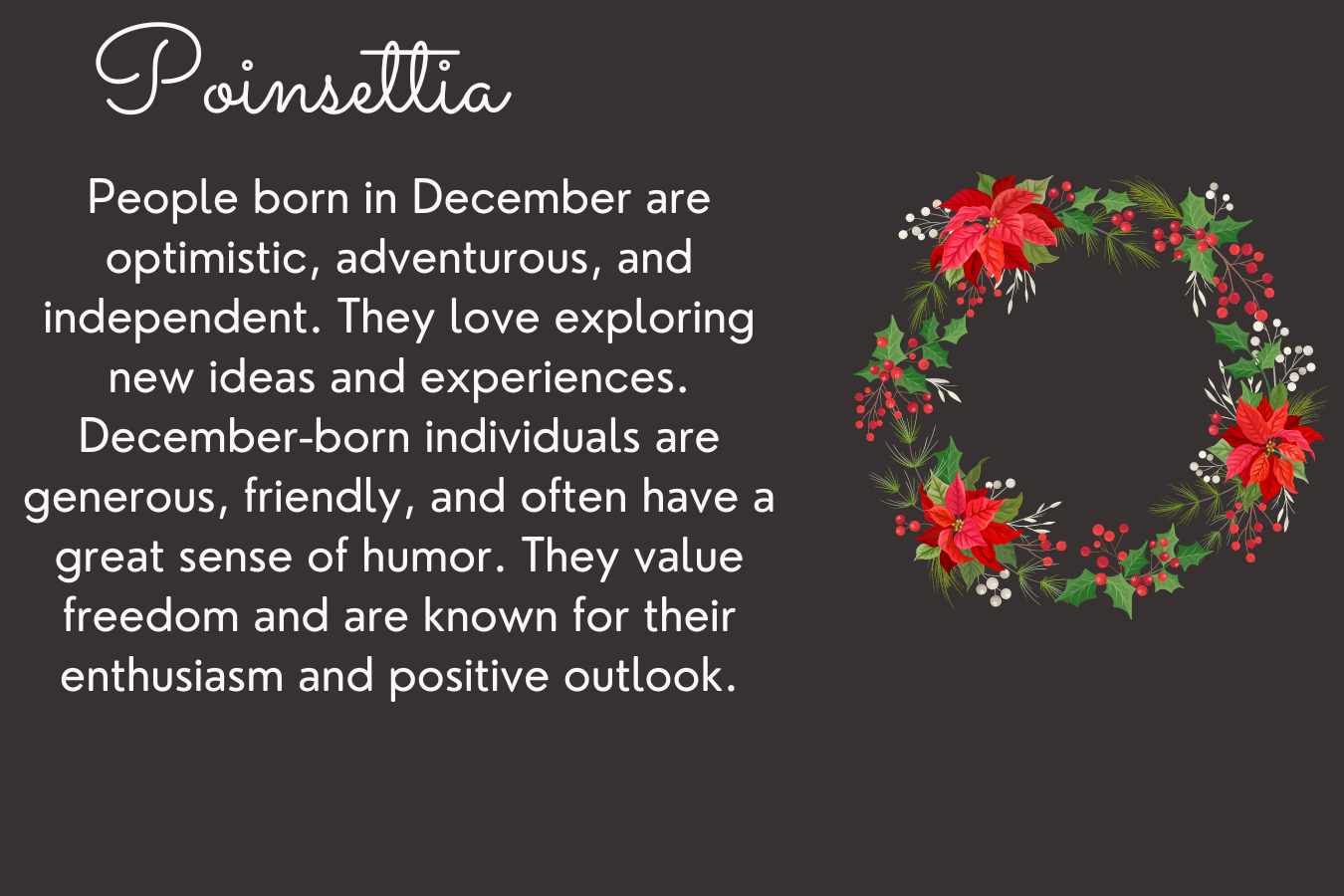 December Birth Flower: Poinsettia