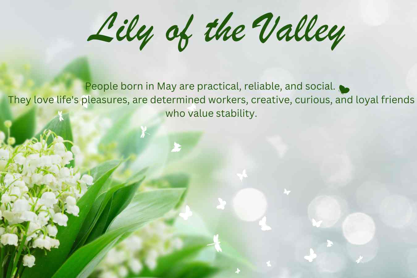 May Birth Flower: Lily of the Valley