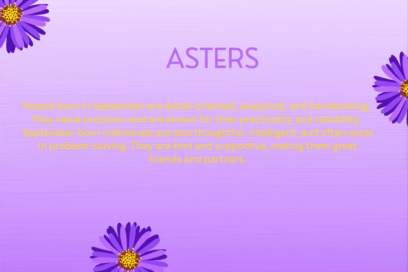 September Birth Flower: Aster