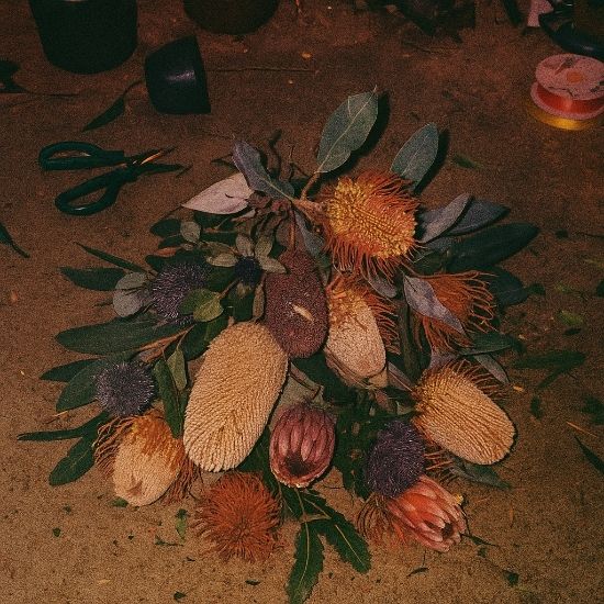 A collection of architectural Banksia flowers, showcasing their incredible texture and form for a native flower arrangement