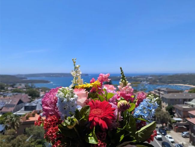 A Lily's Florist bright mixed bunch photographed above Balmoral and Middle Harbour, Mosman