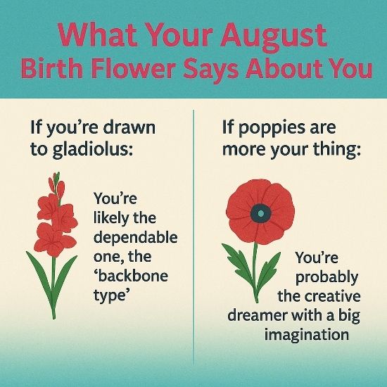 Square infographic titled ‘What Your August Birth Flower Says About You’ on a teal-to-cream gradient, featuring a gladiolus icon and poppy icon with personality trait descriptions in pink and charcoal text.