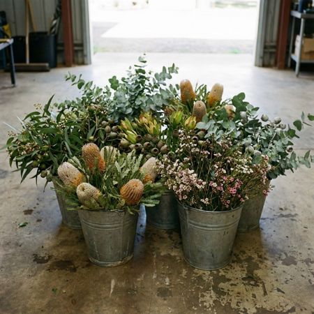 A raw, unstyled photograph of galvanized metal buckets on a stained concrete workshop floor, overflowing with a freshly harvested assortment of Australian native flowers like Banksias, Geraldton Wax, and Eucalyptus foliage. The natural lighting emphasizes the seasonal variety and the "farm-to-florist" reality of native arrangements.