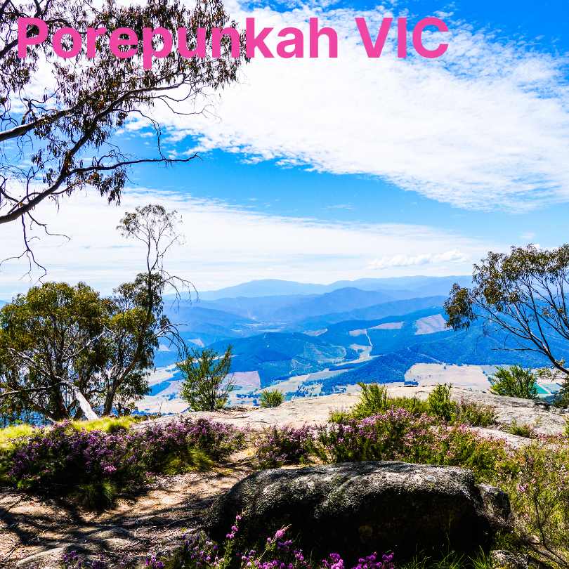 Wildflower Tourism in Australia - Porepunkah VIC