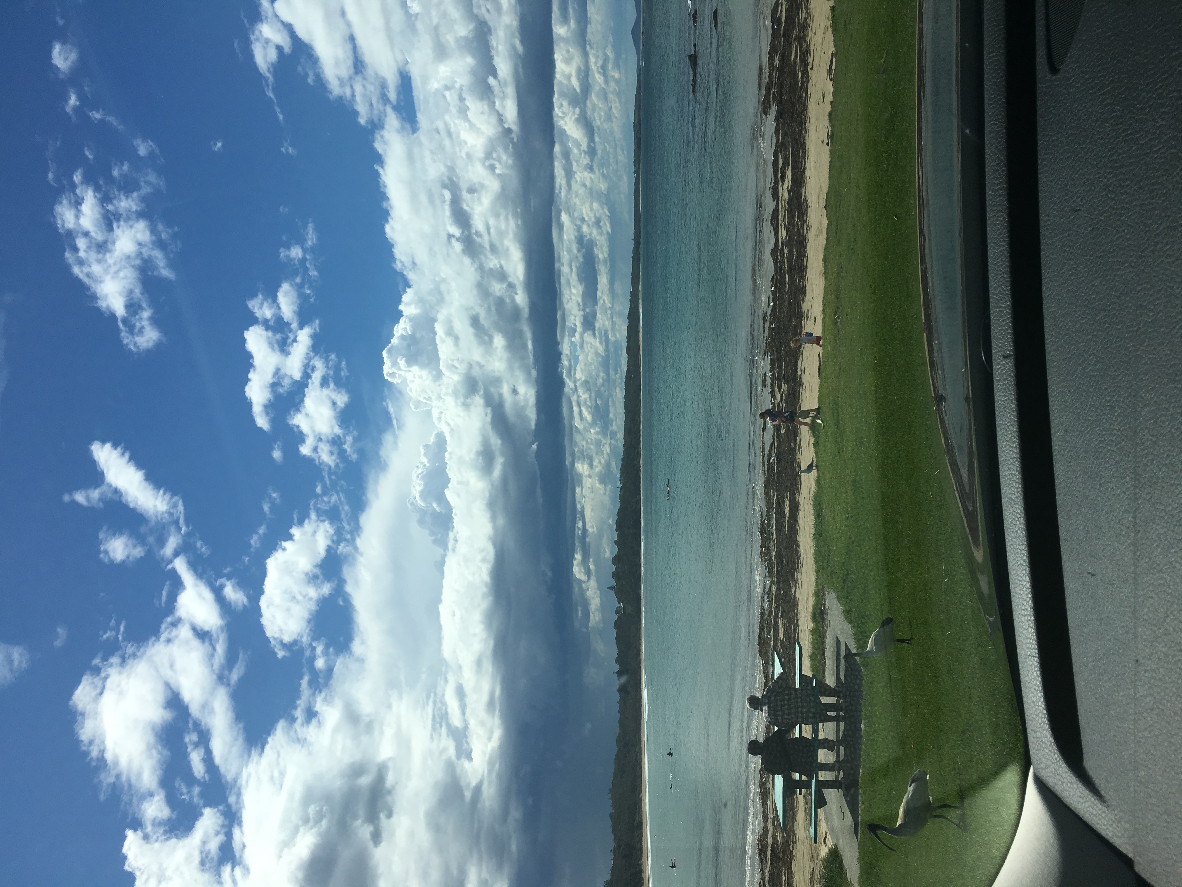 Woolgoolga Beach photographed by Siobhan during a family trip in 2016, showing the wide sandy stretch and blue water along the Coffs Coast