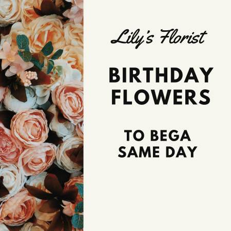 Shop Bega Birthday Flowers Online