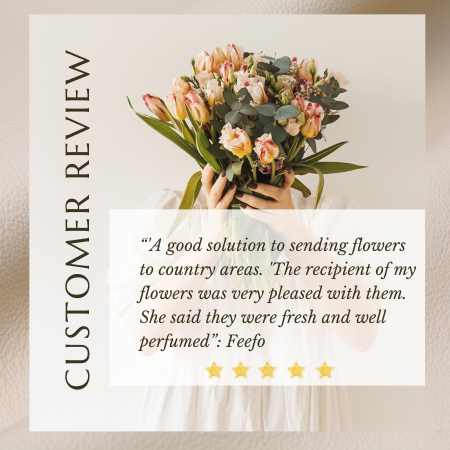 Lily's Florist to Burnie TAS reviews