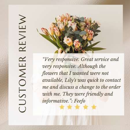 Lily's Florist to Nambour QLD - reviews