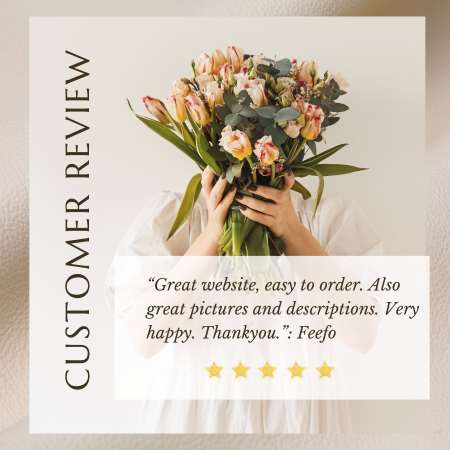 Lily's Florist to Potts Point - reviews