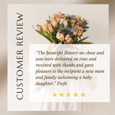 Lily's Florist to stanmore NSW - reviews