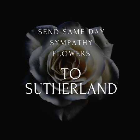 funeral & sympathy flowers delivery  in Sutherland