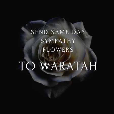 funeral & sympathy flowers delivery  in Waratah