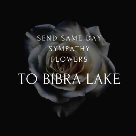 funeral & sympathy flowers delivery  in Bibra Lake wa